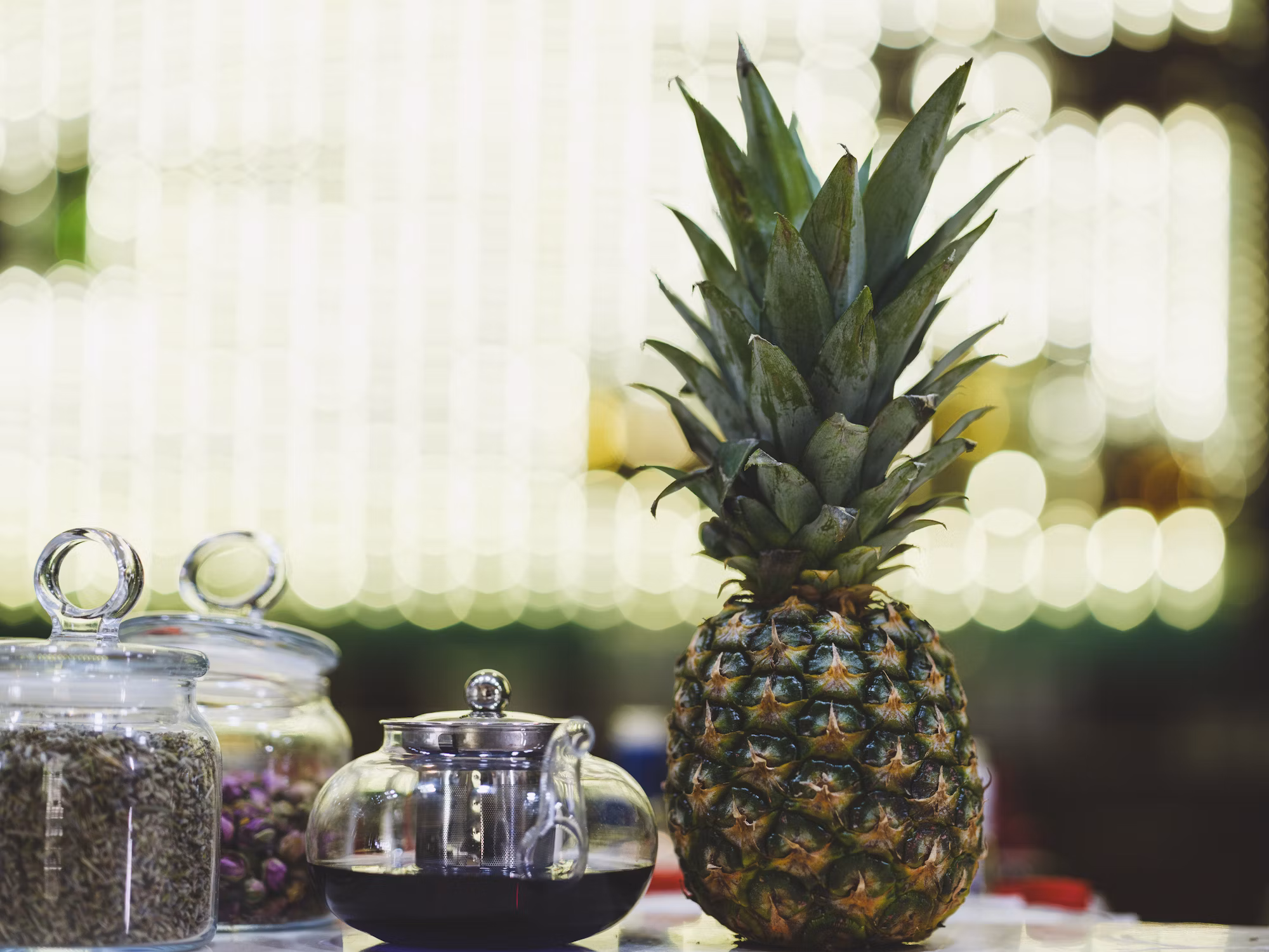 Exploring the Rise of Pet-Friendly Cafés: A Haven for Animal Lovers